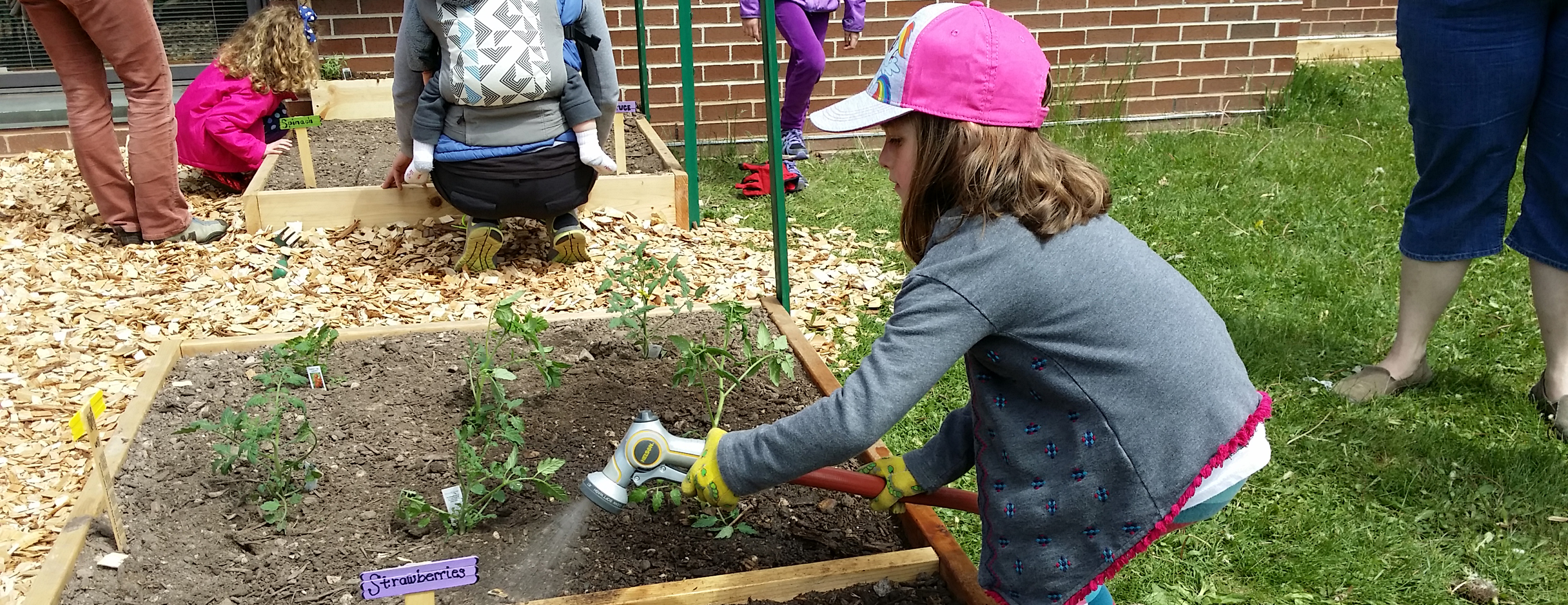 Kindergarteners Explore Where Food Comes From Thumbnail